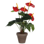 Planta Artificial - Antrio Vermelho - MICA